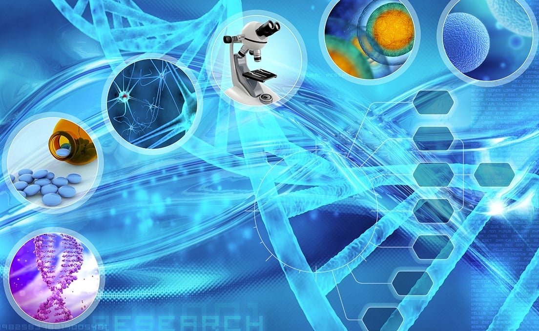 semaglutide diverse research